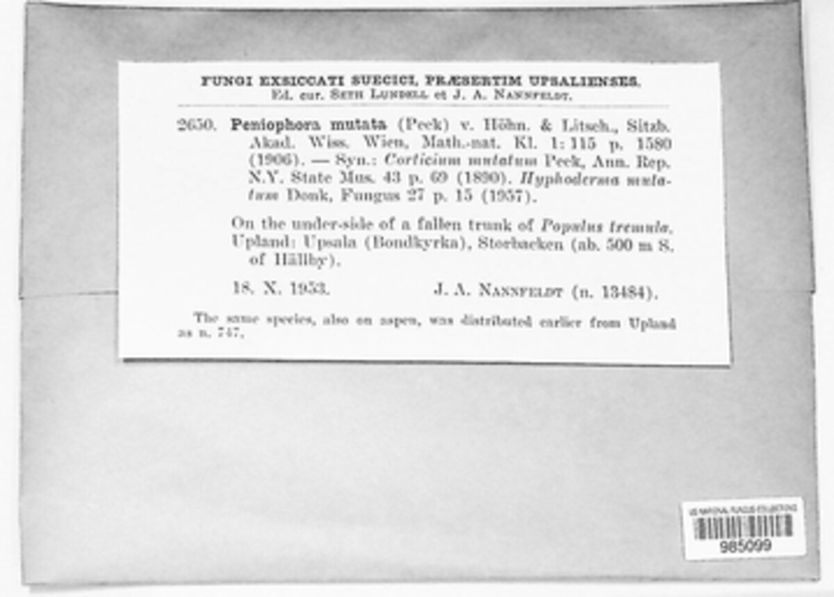 Mutatoderma mutatum image